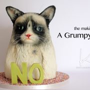 The Making of A Grumpy Cake