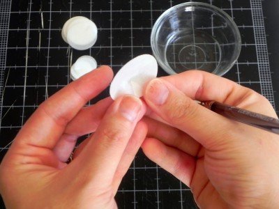 Ranunculus tutorial 8