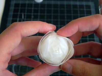 Wafer Ranunculus Tutorial 16