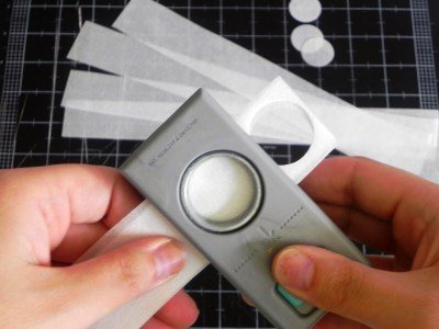 Ranunculus tutorial 4