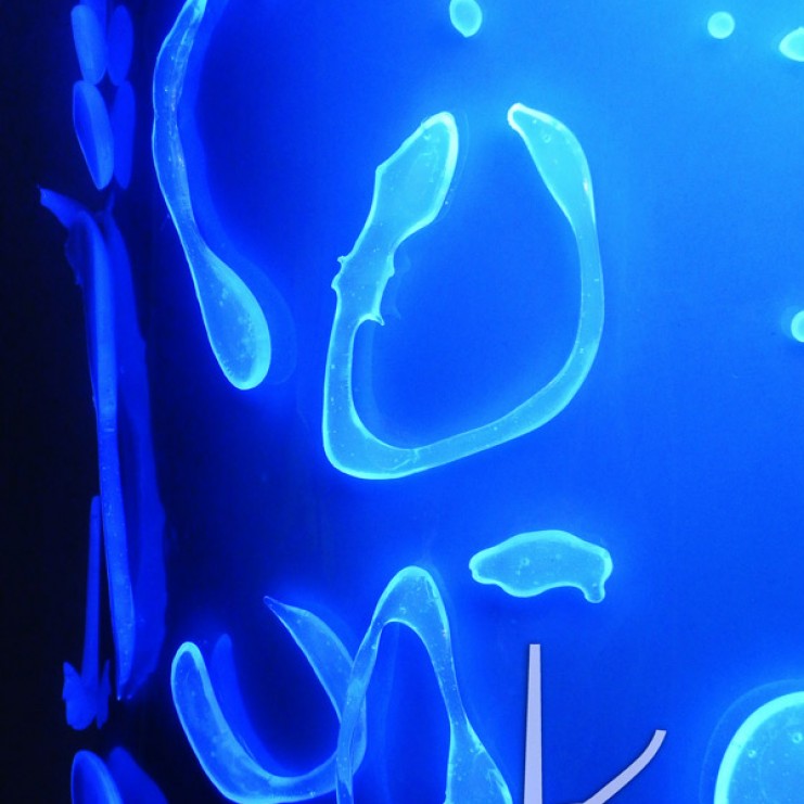 Glowing Isomalt Video Tutorial