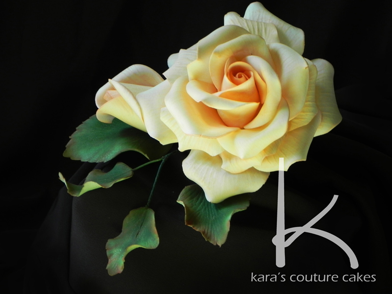 Sugar Rose Video Tutorial Sugar Rose Video Tutorial