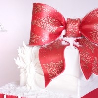 Winter Christmas Cake Tutorial