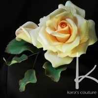 Sugar Rose Video Tutorial