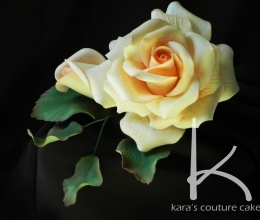 Sugar Rose Video Tutorial